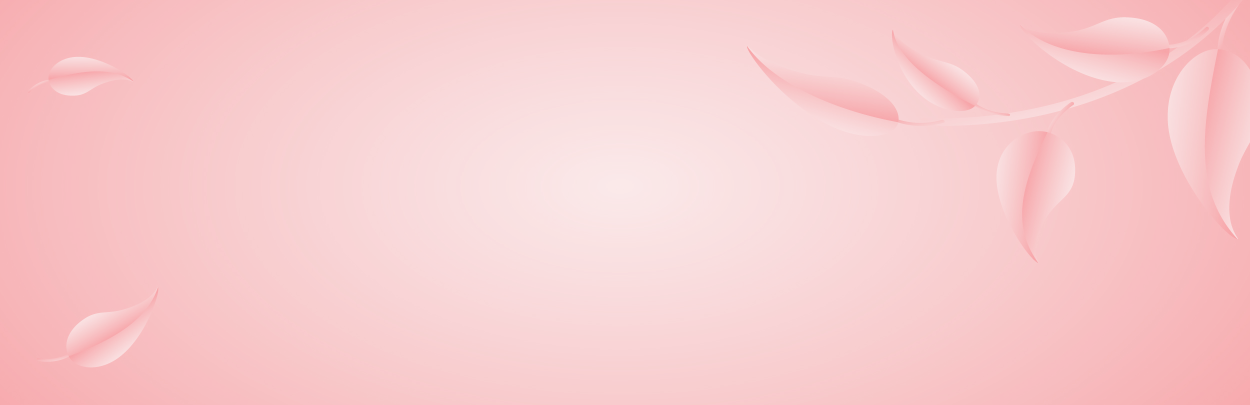 bg_sec_img_home2_page1_sctn23